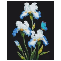 Картина по номерам BrushMe Ирисы BS53915 50 x 40 см / Вертикальная