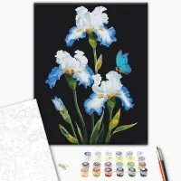 Pictură pe numere BrushMe Iriși BS53915 50 x 40 cm / Verticală photo 3