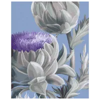 Pictură pe numere BrushMe Anghinare BS53758 50 x 40 cm / Verticală