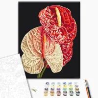 Pictură pe numere BrushMe Anthurium BS54136 50 x 40 cm / Verticală photo 2