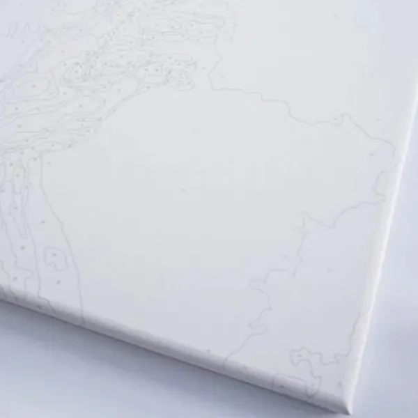 Pictură pe numere BrushMe Pisica care aduce bani BS8911 50 x 40 cm / Verticală photo 9