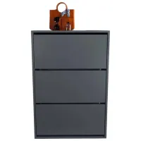 Dulap pentru încălțăminte Nex Home 18-03-08 110 x 73.6 x 27 /Anthracite /Anthracite photo 5