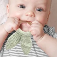 Игрушка для прорезывания зубов BabyJem 651 от 3 месяцев photo 2