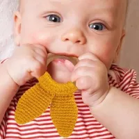 Игрушка для прорезывания зубов BabyJem 651 от 3 месяцев photo 2