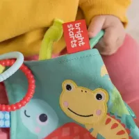 Jucărie pentru dentiție Bright Starts 12619 de la 3 luni photo 4