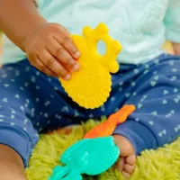 Jucărie pentru dentiție Bright Starts 13072 de la 3 luni photo 2