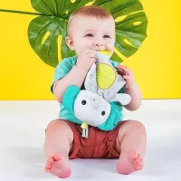 Jucărie pentru dentiție Bright Starts 12347 de la 3 luni photo 3