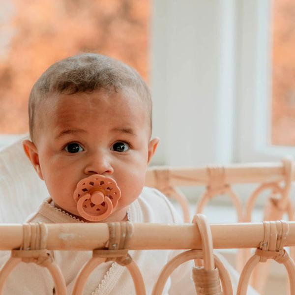 Соска круглая Bibs Boheme 240103  Унисекс / 6 месяцев - 18 месяцев / Латекс / Персиковый photo 6 Соска круглая Bibs Boheme 240103  Унисекс / 6 месяцев - 18 месяцев / Латекс / Персиковый photo 6