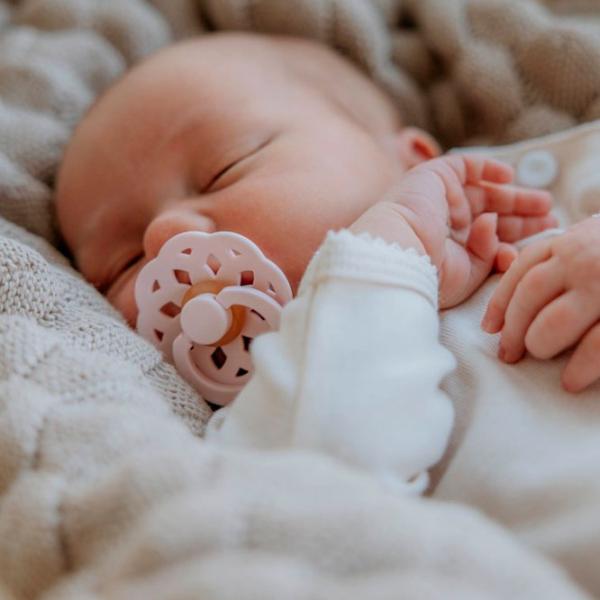 Соска круглая Bibs Boheme 230109 Унисекс / 0 месяцев - 6 месяцев / Латекс / Темный дуб photo 6