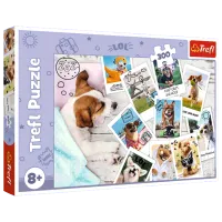 Puzzle Trefl Holiday pictures 8+/ Количество деталей: 300