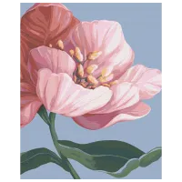 Pictură pe numere BrushMe A înflori BS53759 50 x 40 cm / Verticală