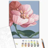 Pictură pe numere BrushMe A înflori BS53759 50 x 40 cm / Verticală photo 3