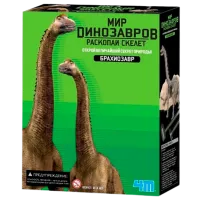 Set de creație 4M Cute Animals Brachiosaurus Skeleton 4893156032379 8+ / Multicolor Multicolor