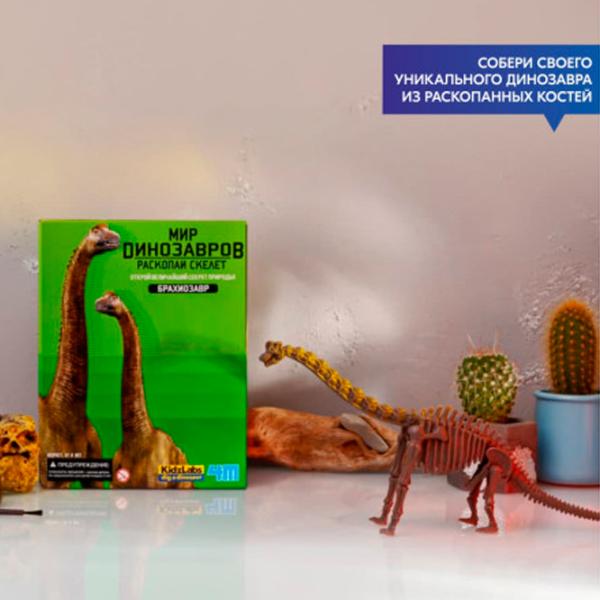 Set de creație 4M Cute Animals Brachiosaurus Skeleton 4893156032379 8+ / Multicolor Multicolor photo 8