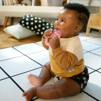 Игрушка для прорезывания зубов Baby Einstein 16881 от 3 месяцев photo 4