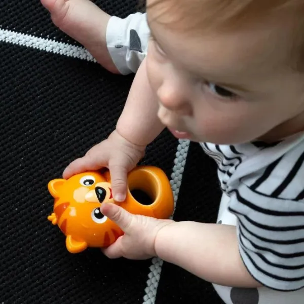 Zornăitoare muzicală Baby Einstein 16706  de la 3 luni photo 3