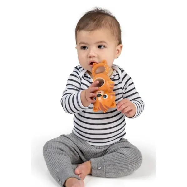 Zornăitoare muzicală Baby Einstein 16706  de la 3 luni photo 5
