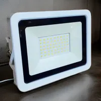 Proiector LED Milanlux MLNP1065A White / 1000 lm photo 5