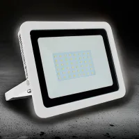 Proiector LED Milanlux MLNP5065A White / 5000 Lm photo 6