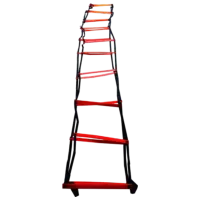 Лестница Yakimasport 100003 Пластик