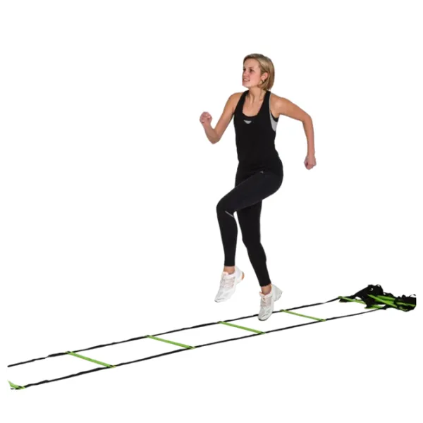 Scară Insportline CF080.2 Plastic photo 2