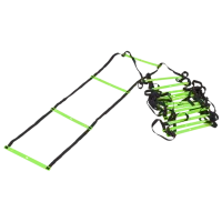 Scară Insportline CF080.1 Plastic