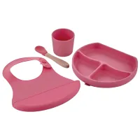 Set BabyJem 728 Pentru fetițe / 6+ luni / Pink