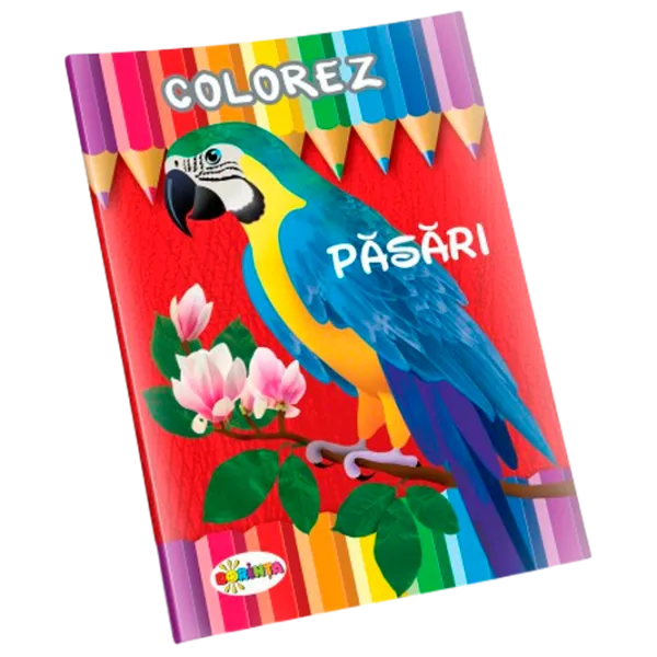 Set de creație Dorința Colorez Păsări 9789975431392 4+ / Multicolor photo 1