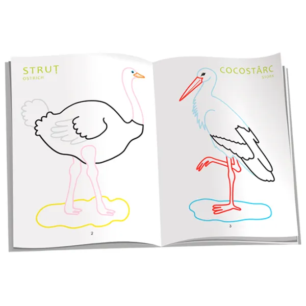 Set de creație Dorința Colorez Păsări 9789975431392 4+ / Multicolor photo 2