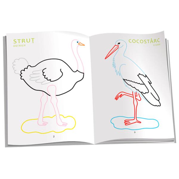 Set de creație Dorința Colorez Păsări 9789975431392 4+ / Multicolor photo 2