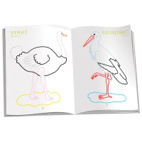 Set de creație Dorința Colorez Păsări 9789975431392 4+ / Multicolor photo 2
