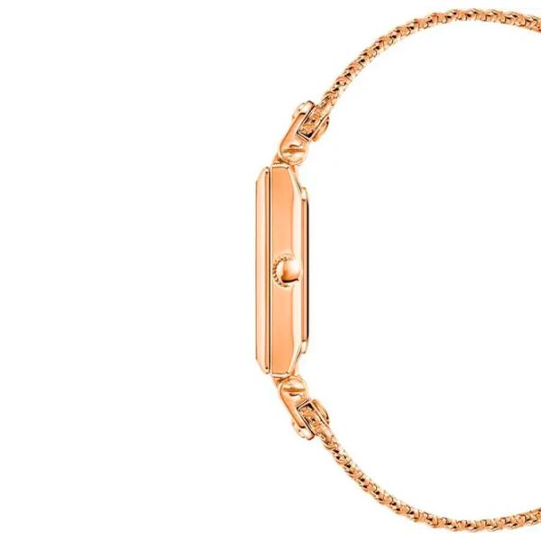 Ceas de mână pentru femei ANNE KLEIN AK/3882RGRG Cuarț / 21 mm photo 2 Ceas de mână pentru femei ANNE KLEIN AK/3882RGRG Cuarț / 21 mm photo 2