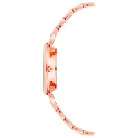 Наручные часы для женщин ANNE KLEIN AK/3872RGRG Кварцевый / 30 мм photo 2