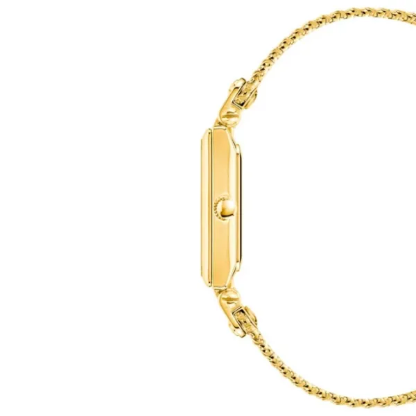 Наручные часы для женщин ANNE KLEIN AK/3882CHGB Кварцевый / 21 мм photo 2 Наручные часы для женщин ANNE KLEIN AK/3882CHGB Кварцевый / 21 мм photo 2