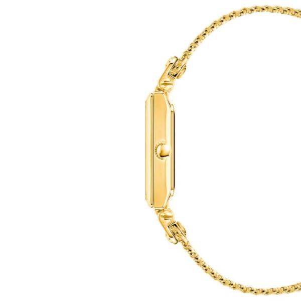 Наручные часы для женщин ANNE KLEIN AK/3882CHGB Кварцевый / 21 мм photo 2 Наручные часы для женщин ANNE KLEIN AK/3882CHGB Кварцевый / 21 мм photo 2