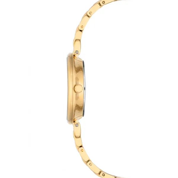 Ceas de mână pentru femei ANNE KLEIN AK/2158GYGB Cuarț / 30 mm photo 2 Ceas de mână pentru femei ANNE KLEIN AK/2158GYGB Cuarț / 30 mm photo 2
