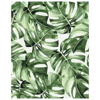 Pictură pe numere BrushMe Monstera exotică BS53697 50 x 40 cm / Verticală