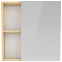 Dulap cu oglindă Rozzy Jenori Atlas 60 x 60 x 14 / Oglindă / 