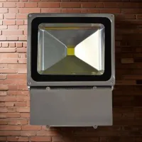 Прожекторы Elmos SN101F70WB Белый / 3150 лм photo 2