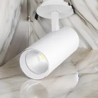 Proiector LED Elmos BQ-TLI-1540 White / 1200 lm photo 3