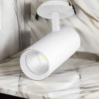 Proiector LED Elmos BQ-TLI-1540 White / 1200 lm photo 4