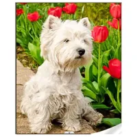 Мозайка Strateg GM86849  / 10+