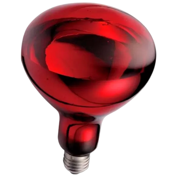 Инфракрасная лампа Накал Tehno MS 00000955  E27 / 300 Вт / 1277 К / / Red photo 1