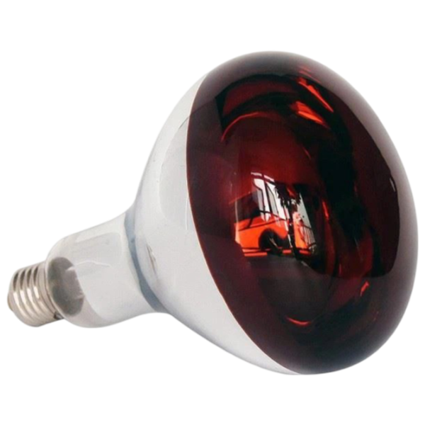 Lampă infraroşu Incandescentă Tehno MS R125 10001400 E27 / 150 W / 6000 K / / Red photo 2