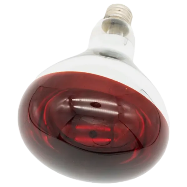 Lampă infraroşu Incandescentă Tehno MS R125 10001400 E27 / 150 W / 6000 K / / Red photo 7