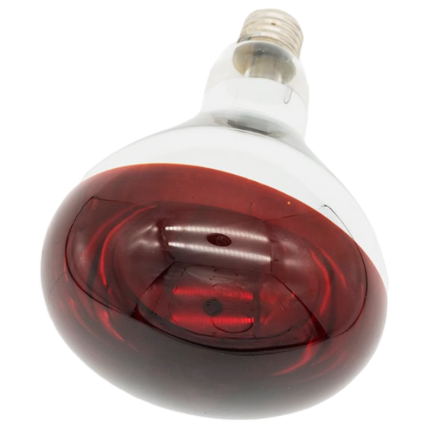 Lampă infraroşu Incandescentă Tehno MS R125 10001400 E27 / 150 W / 6000 K / / Red photo 7