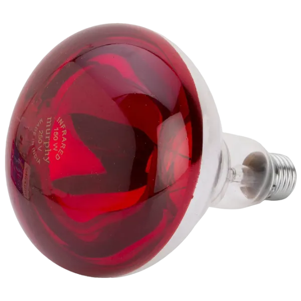 Инфракрасная лампа Накал Philips BR125 151894 E27 / 150 Вт / 1500 K / / Red photo 2