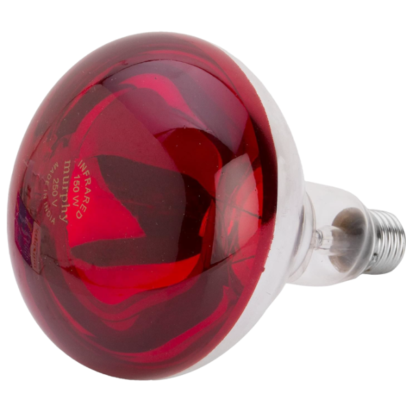 Инфракрасная лампа Накал Philips BR125 151894 E27 / 150 Вт / 1500 K / / Red photo 2