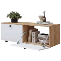 Тумба под телевизор Mobildor-Lux Zen   x 120 x / ДСП