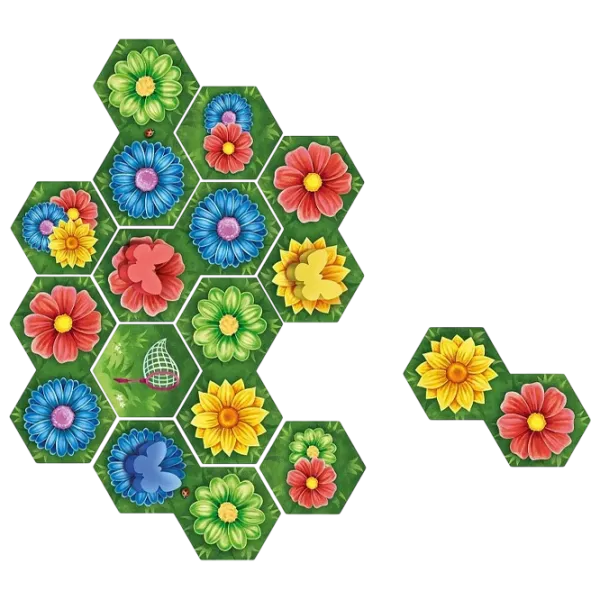 Joc de masă Economicus Cloomba 8+/ Dezvoltare photo 2